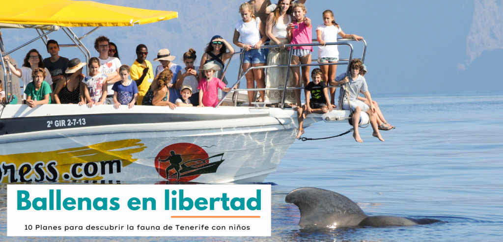 Ver ballenas en Tenerife con niños